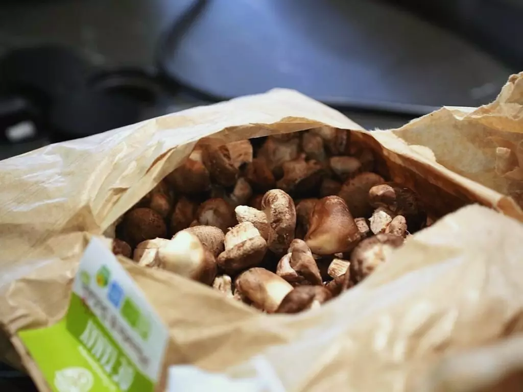 Champignons du marché