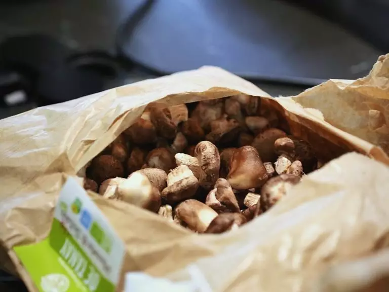 Saison 2025-2026 chez Salt & Pepper : les chiffres, et l’équipe qui vous répond depuis septembre